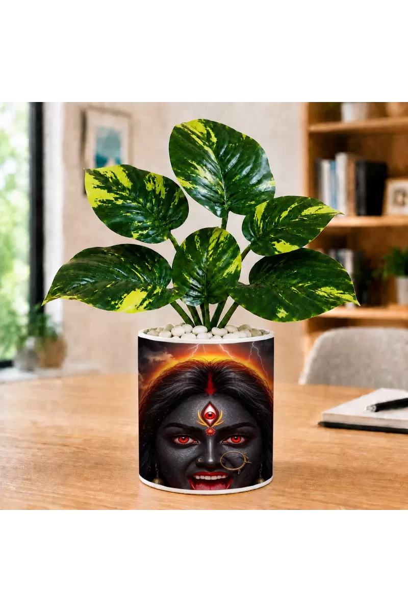 Artificial Tree Ceramic Photo Pot With White Stones 3x4 Inch (F164484)