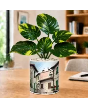 Artificial Tree Ceramic Photo Pot With White Stones 3x4 Inch (F164485)