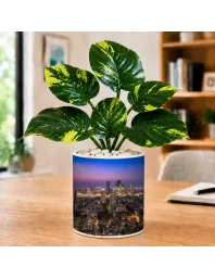 Artificial Tree Ceramic Photo Pot With White Stones 3x4 Inch (F164888)