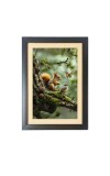 The squirrel and the bird and the butterfly  Photo Frame Funny Animal and Bird Cartoon Art, Black color, 11x15 Inch