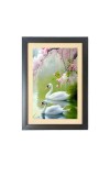 Two beautiful swans  Photo Frame Funny Animal and Bird Cartoon Art, Black color, 11x15 Inch