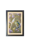 The colorful parrots Photo Frame Funny Animal and Bird Cartoon Art, Black color, 11x15 Inch The colorful parrots Photo Frame Funny Animal and Bird Cartoon Art, Black color, 11x15 Inch