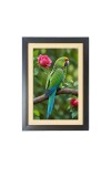 The beautiful parrot  Photo Frame Funny Animal and Bird Cartoon Art, Black color, 11x15 Inch