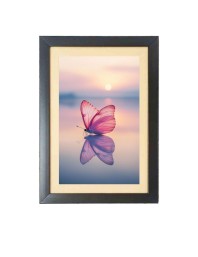 Beautiful butterfly flies in the sunset  Photo Frame Funny Animal and Bird Cartoon Art, Black color, 11x15 Inch