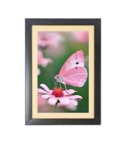 The pink color butterfly  Photo Frame Funny Animal and Bird Cartoon Art, Black color, 11x15 Inch