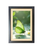 The green butterfly  Photo Frame Funny Animal and Bird Cartoon Art, Black color, 11x15 Inch