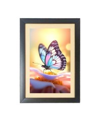 The beautiful butterfly  Photo Frame Funny Animal and Bird Cartoon Art, Black color, 11x15 Inch