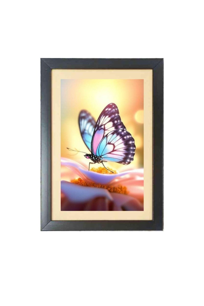 The beautiful butterfly  Photo Frame Funny Animal and Bird Cartoon Art, Black color, 11x15 Inch