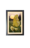 The beautiful yellow color butterfly  Photo Frame Funny Animal and Bird Cartoon Art, Black color, 11x15 Inch