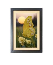 The beautiful yellow color butterfly  Photo Frame Funny Animal and Bird Cartoon Art, Black color, 11x15 Inch