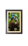 A couple of birds are sitting in a nest   Photo Frame Funny Animal and Bird Cartoon Art, Black color, 11x15 Inch
