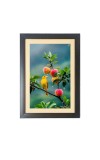 The cute bird is sitting on the apple tree  Photo Frame Funny Animal and Bird Cartoon Art, Black color, 11x15 Inch
