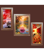 3-Pack Chasing Sunsets, Catching Stars Photo Frames - 2 Pieces 6x13 Inch & 1 Piece 10x13 Inch - Rustic Wall Art for Home & Office Decor - Botanical Wall Hanging for Living Room, Bedroom
