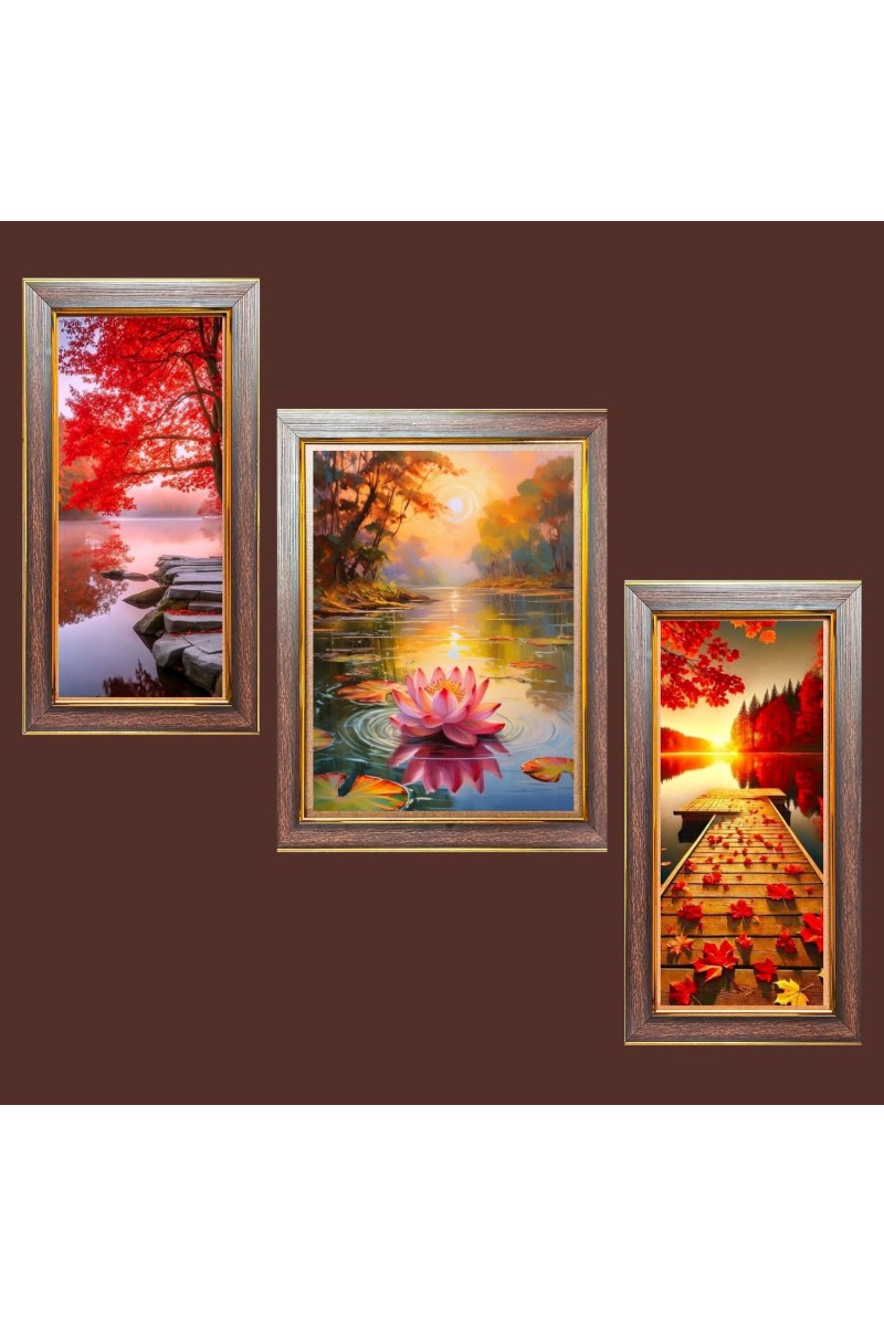 3-Pack Chasing Sunsets, Catching Stars Photo Frames - 2 Pieces 6x13 Inch & 1 Piece 10x13 Inch - Rustic Wall Art for Home & Office Decor - Botanical Wall Hanging for Living Room, Bedroom