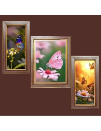 3-Pack The beautiful butterflies Photo Frames - 2 Pieces 6x13 Inch & 1 Piece 10x13 Inch - Rustic Wall Art for Home & Office Decor - Botanical Wall Hanging for Living Room, Bedroom, or W