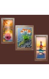 3-Pack Colorful Echoes of Nature Photo Frames - 2 Pieces 6x13 Inch & 1 Piece 10x13 Inch - Rustic Wall Art for Home & Office Decor - Botanical Wall Hanging for Living Room, Bedroom, or W