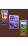 3-Pack The Canvas of Nature Photo Frames - 2 Pieces 6x13 Inch & 1 Piece 10x13 Inch - Rustic Wall Art for Home & Office Decor - Botanical Wall Hanging for Living Room, Bedroom, or Worksp