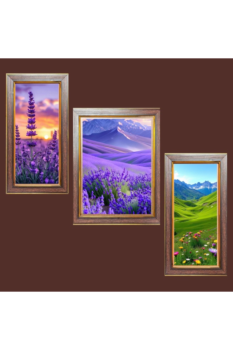 3-Pack The Canvas of Nature Photo Frames - 2 Pieces 6x13 Inch & 1 Piece 10x13 Inch - Rustic Wall Art for Home & Office Decor - Botanical Wall Hanging for Living Room, Bedroom, or Worksp