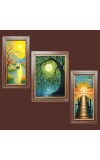3-Pack Dawn's Gentle Glow Photo Frames - 2 Pieces 6x13 Inch & 1 Piece 10x13 Inch - Rustic Wall Art for Home & Office Decor - Botanical Wall Hanging for Living Room, B