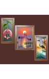 3-Pack Nature's best healing view Photo Frames - 2 Pieces 6x13 Inch & 1 Piece 10x13 Inch - Rustic Wall Art for Home & Office Decor - Botanical Wall Hanging for Living