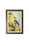 Beautiful Beautiful Bird Photo Frame - 11x15 Inch Black 1-Inch Frame with Mount Paper - Perfect for Home Decor, Living Room & Office