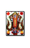 Maa Kali Laminated Photo  - 5x7 Inches, Divine Blessings for Home & Office and Temple Decoration