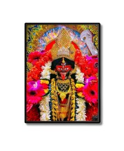 Maa Kali Laminated Photo  - 5x7 Inches, Divine Blessings for Home & Office and Temple Decoration