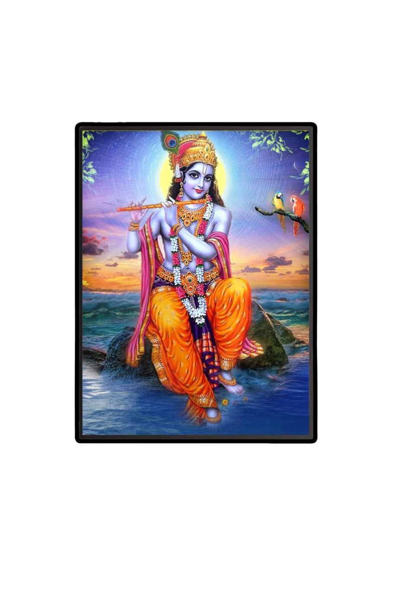 Sri Krishna Laminated Photo  - 5x7 Inches, Divine Blessings for Home & Office and Temple Decoration