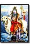 Shiva Laminated Photo  - 5x7 Inches, Divine Blessings for Home & Office and Temple Decoration