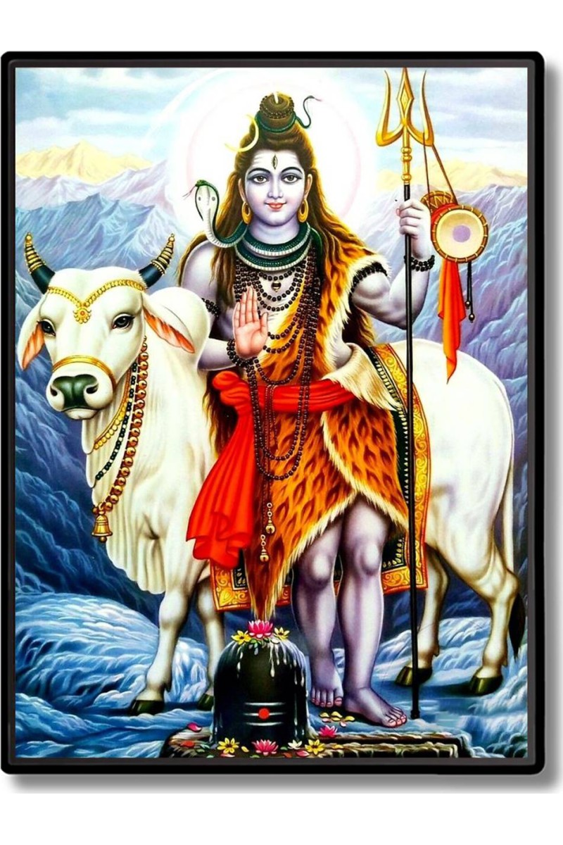 Shiva Laminated Photo  - 5x7 Inches, Divine Blessings for Home & Office and Temple Decoration