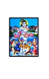 Kaaliya Naag With Baby Sri Krishna Laminated Photo  - 5x7 Inches, Divine Blessings for Home & Office and Temple Decoration