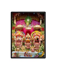 Lord Jagannath Laminated Photo  - 5x7 Inches, Divine Blessings for Home & Office and Temple Decoration