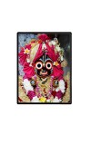 Lord Jagannath Laminated Photo  - 5x7 Inches, Divine Blessings for Home & Office and Temple Decoration