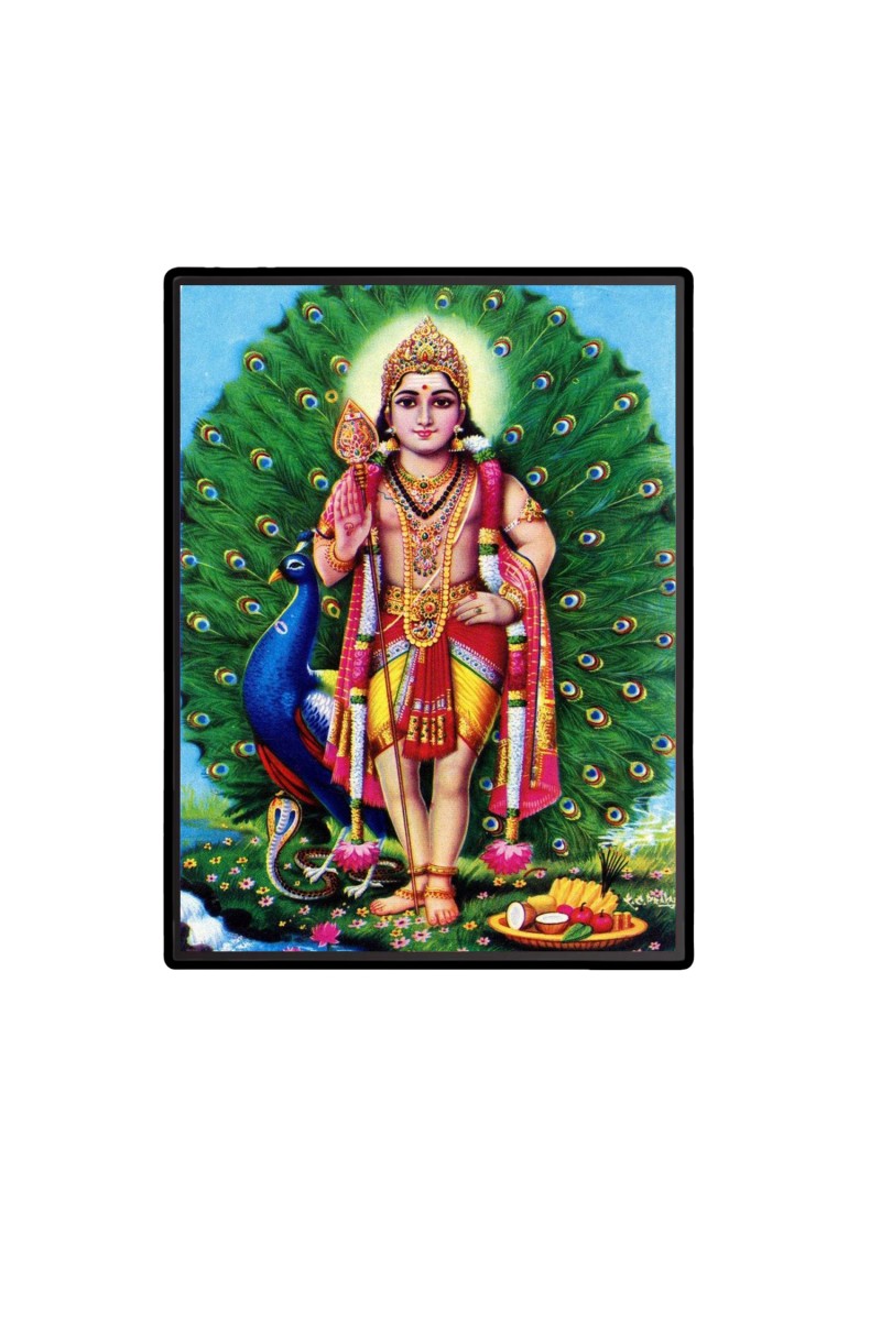 Kartikeya Laminated Photo  - 5x7 Inches, Divine Blessings for Home & Office and Temple Decoration