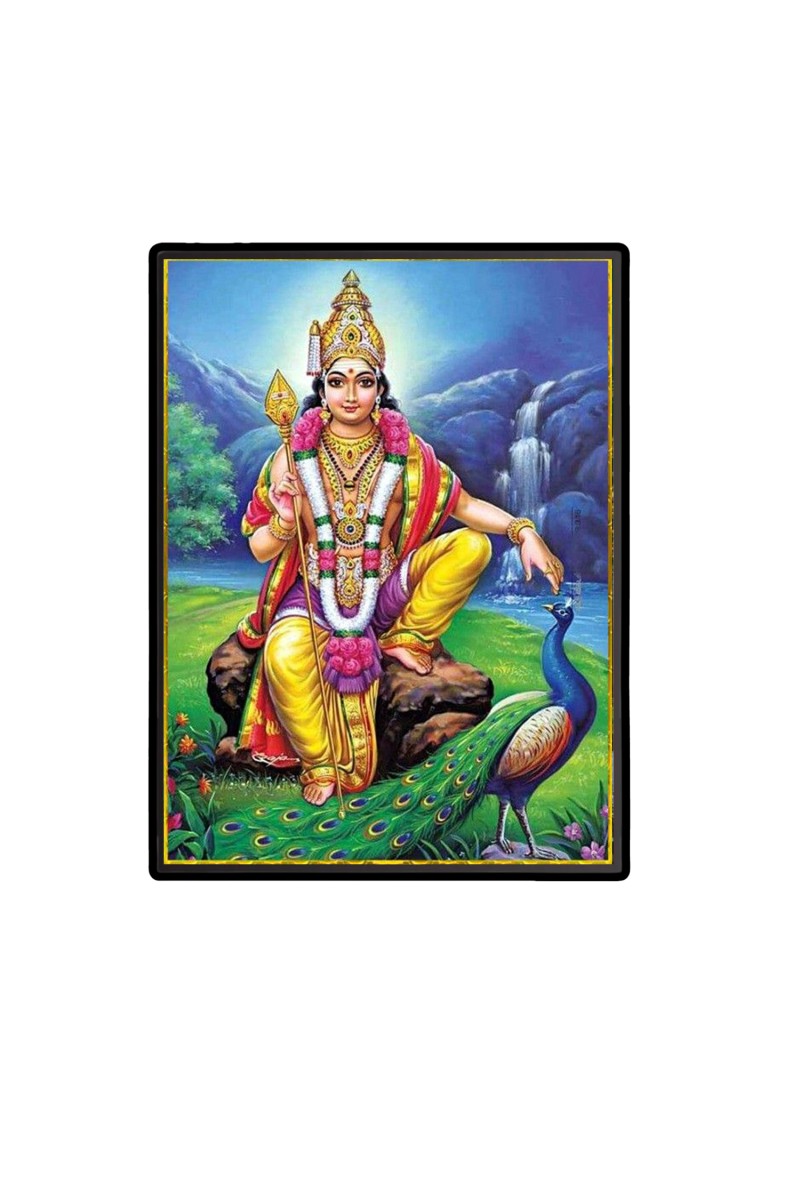 Kartikeya Laminated Photo  - 5x7 Inches, Divine Blessings for Home & Office and Temple Decoration