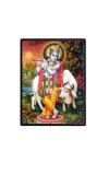 Sri Krishna Laminated Photo  - 5x7 Inches, Divine Blessings for Home & Office and Temple Decoration