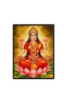 Maa Lakshmi Laminated Photo  - 5x7 Inches, Divine Blessings for Home & Office and Temple Decoration