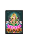 Maa Lakshmi Laminated Photo  - 5x7 Inches, Divine Blessings for Home & Office and Temple Decoration