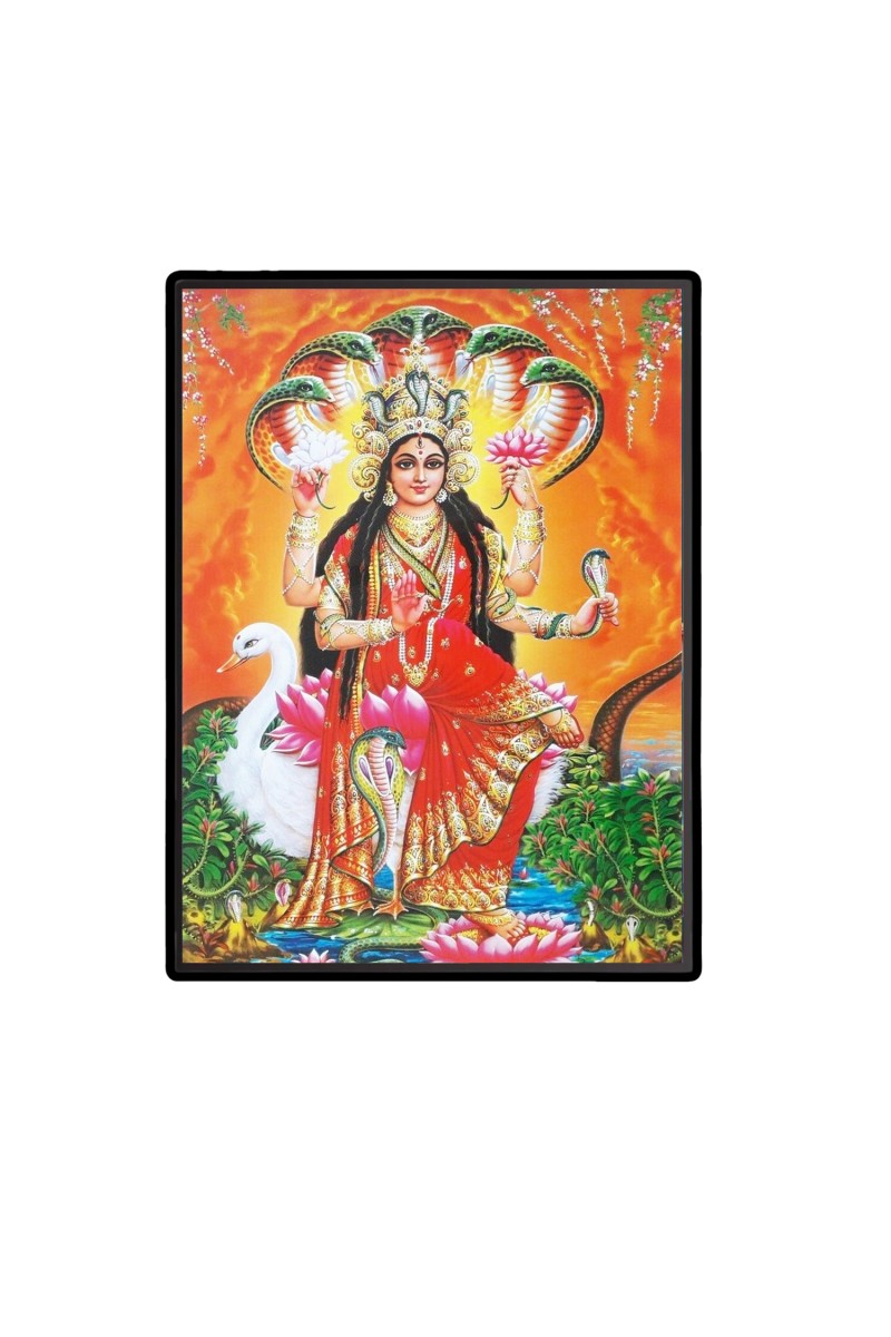 Maa Manasa Laminated Photo  - 5x7 Inches, Divine Blessings for Home & Office and Temple Decoration
