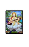 Maa Saraswati Laminated Photo  - 5x7 Inches, Divine Blessings for Home & Office and Temple Decoration