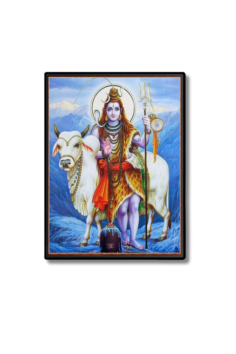 Shiva Laminated Photo  - 5x7 Inches, Divine Blessings for Home & Office and Temple Decoration