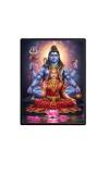 Shiva Parvati Laminated Photo  - 5x7 Inches, Divine Blessings for Home & Office and Temple Decoration