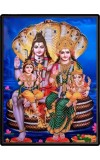 Shiva Family Laminated Photo  - 5x7 Inches, Divine Blessings for Home & Office and Temple Decoration
