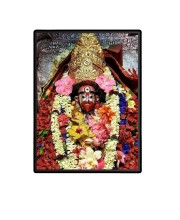 Maa Tara Laminated Photo  - 5x7 Inches, Divine Blessings for Home & Office and Temple Decoration