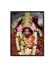 Maa Tara Laminated Photo  - 5x7 Inches, Divine Blessings for Home & Office and Temple Decoration