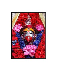 Maa Tara Laminated Photo  - 5x7 Inches, Divine Blessings for Home & Office and Temple Decoration
