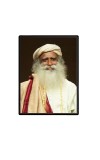 Sadhguru (Jaggi Vasudev)  Laminated Photo  - 5x7 Inches, Divine Blessings for Home & Office and Temple Decoration