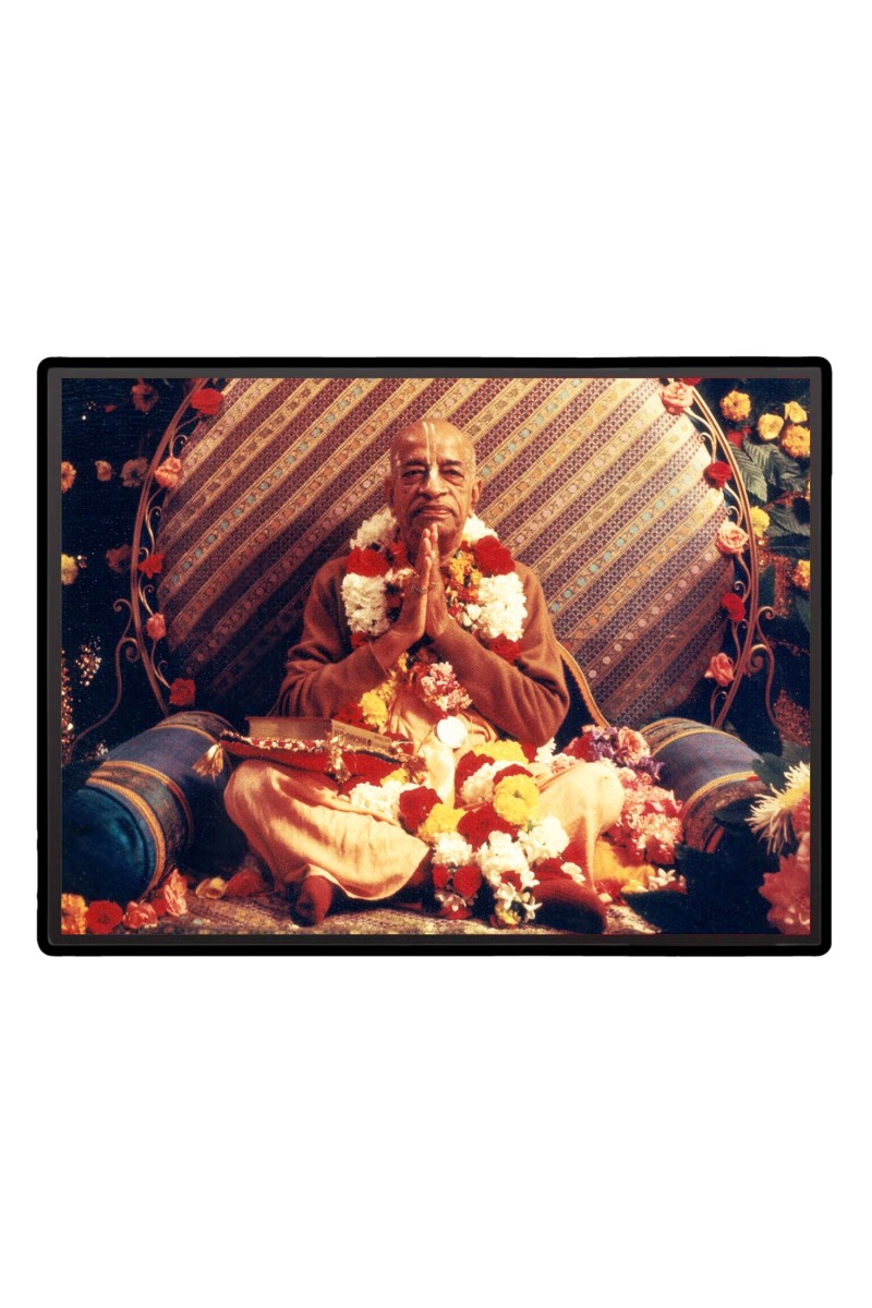 Swami Prabhupada Laminated Photo  - 5x7 Inches, Divine Blessings for Home & Office and Temple Decoration