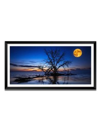 Nature Landscape Floating Frame Scenery Digital Print - 12x24 inch Modern Nature Wall Art for Living Room, Bedroom, Office, Hotels, Drawing Room