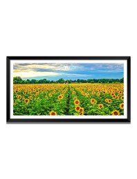 Nature Landscape Floating Frame Scenery Digital Print - 12x24 inch Modern Nature Wall Art for Living Room, Bedroom, Office, Hotels, Drawing Room